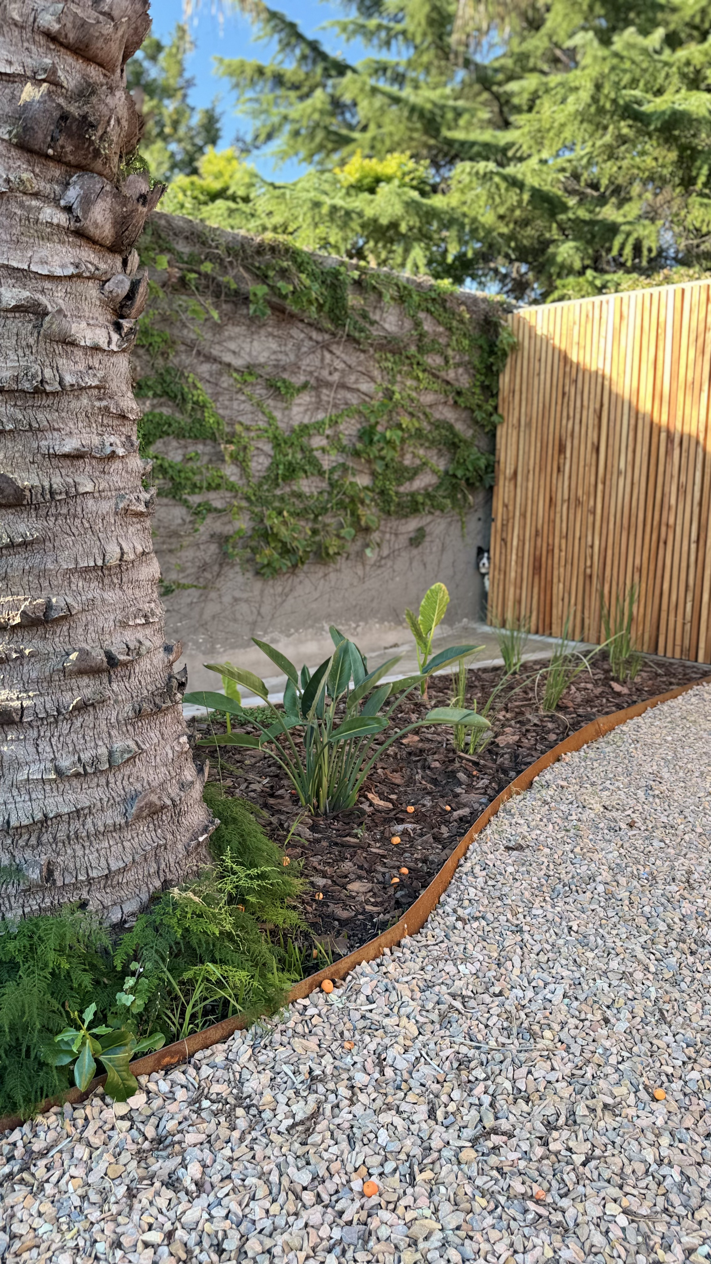 Jardín para Pauli y Alejo