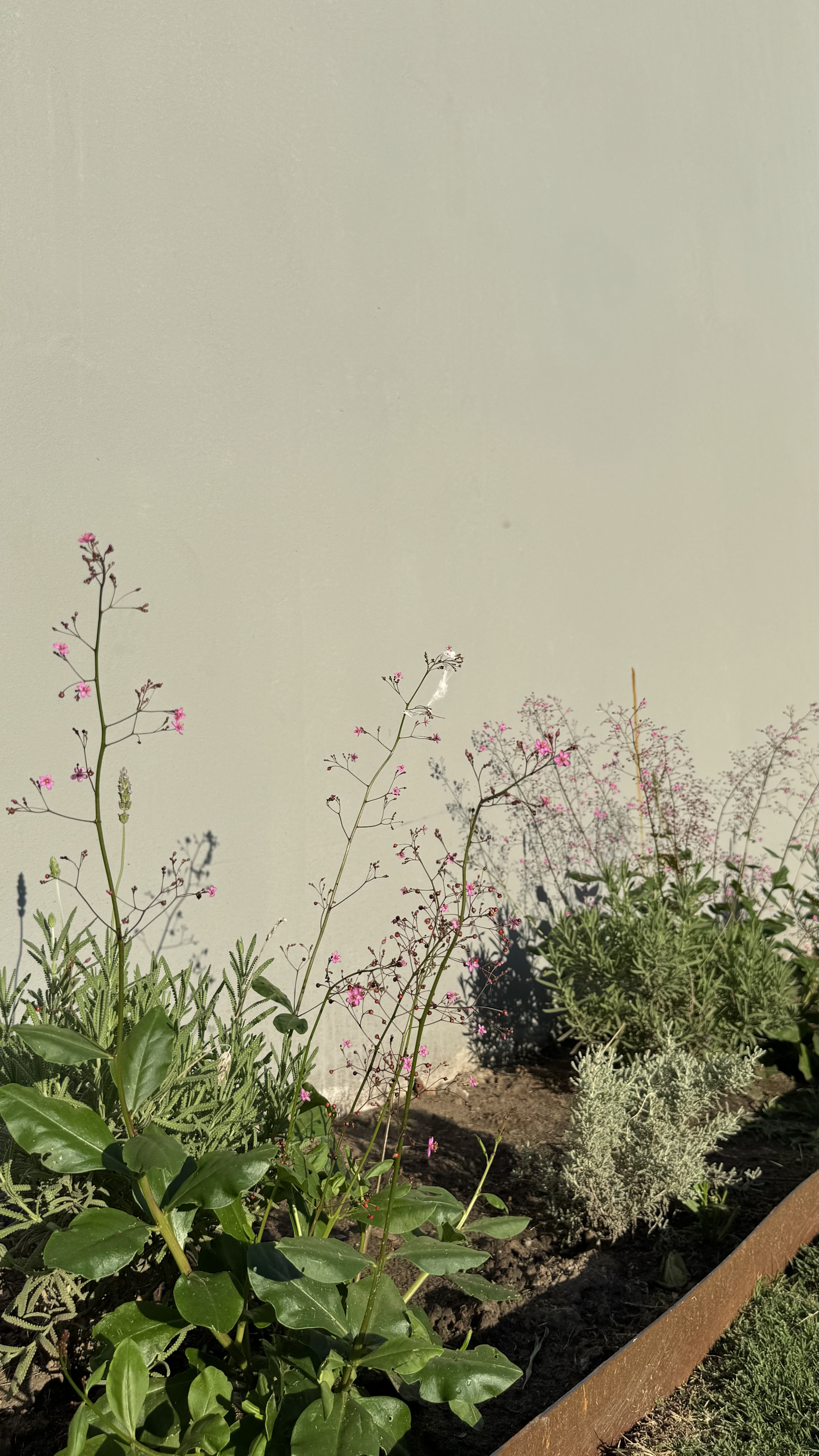 Jardín para Pauli y Alejo