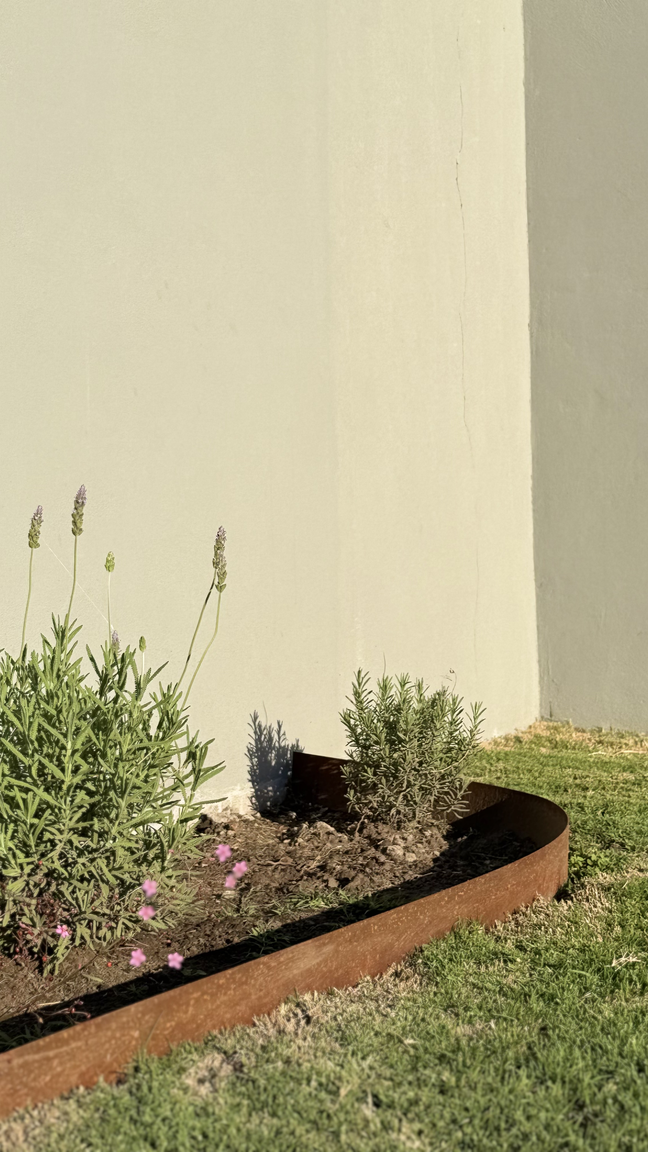 Jardín para Pauli y Alejo